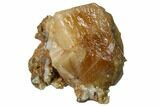 Golden Calcite Crystal - Morocco #140488-1